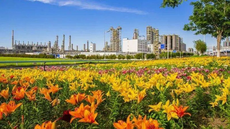 涂料增稠剂型号参数详解：揭秘其性能与选型逻辑